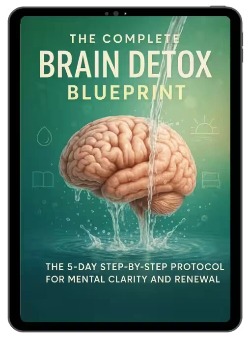 The Complete Brain Detox Blueprint - Neuro Vera Bonus 1
